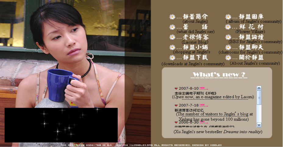 image of a website