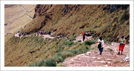 image of people climbing a trail