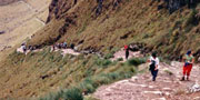 Backpackers climbing the Inca Trail 
